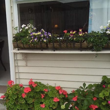 Geranium Cottage-Mt Taranaki Stratford Exterior foto